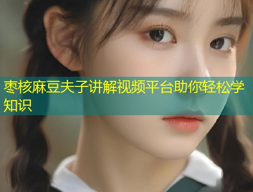 枣核麻豆夫子讲解视频平台助你轻松学知识