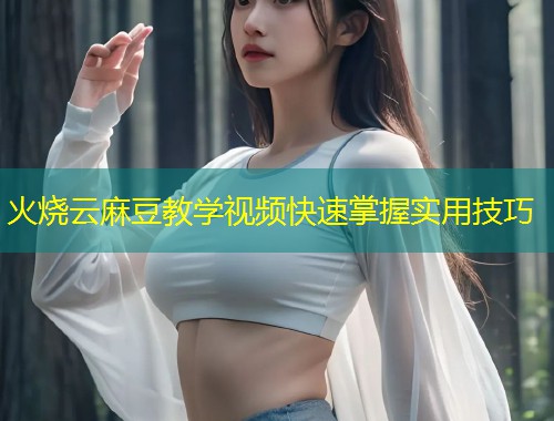 火烧云麻豆教学视频快速掌握实用技巧