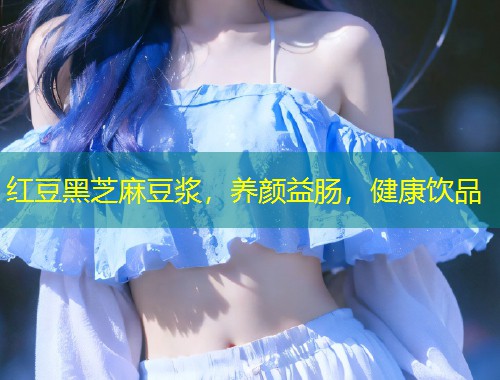 红豆黑芝麻豆浆，养颜益肠，健康饮品