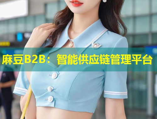 麻豆B2B:智能供应链管理平台 麻豆B2B:智能供应链管理平台