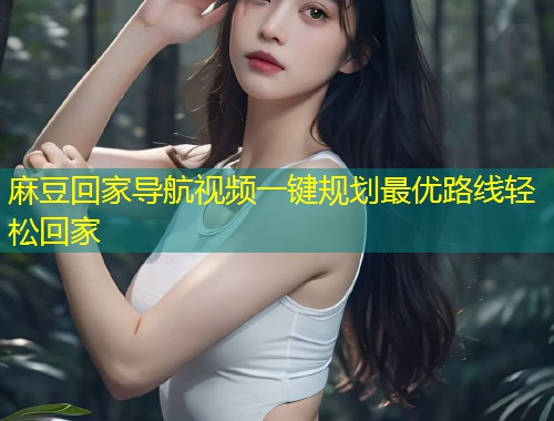 麻豆回家导航视频一键规划最优路线轻松回家