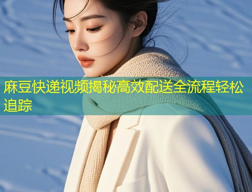 麻豆快递视频揭秘高效配送全流程轻松追踪