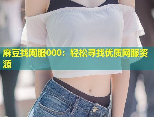 麻豆找网服000：轻松寻找优质网服资源