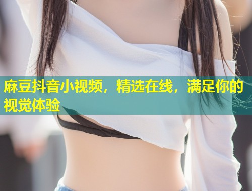 麻豆抖音小视频，精选在线，满足你的视觉体验