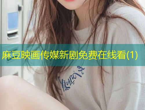 麻豆映画传媒新剧免费在线看(1)