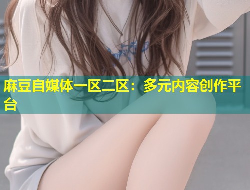 麻豆自媒体一区二区：多元内容创作平台